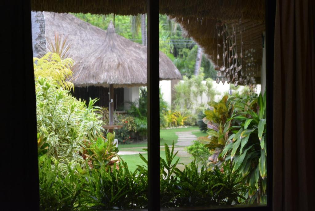 Chiisai Natsu Resort Bohol Room photo